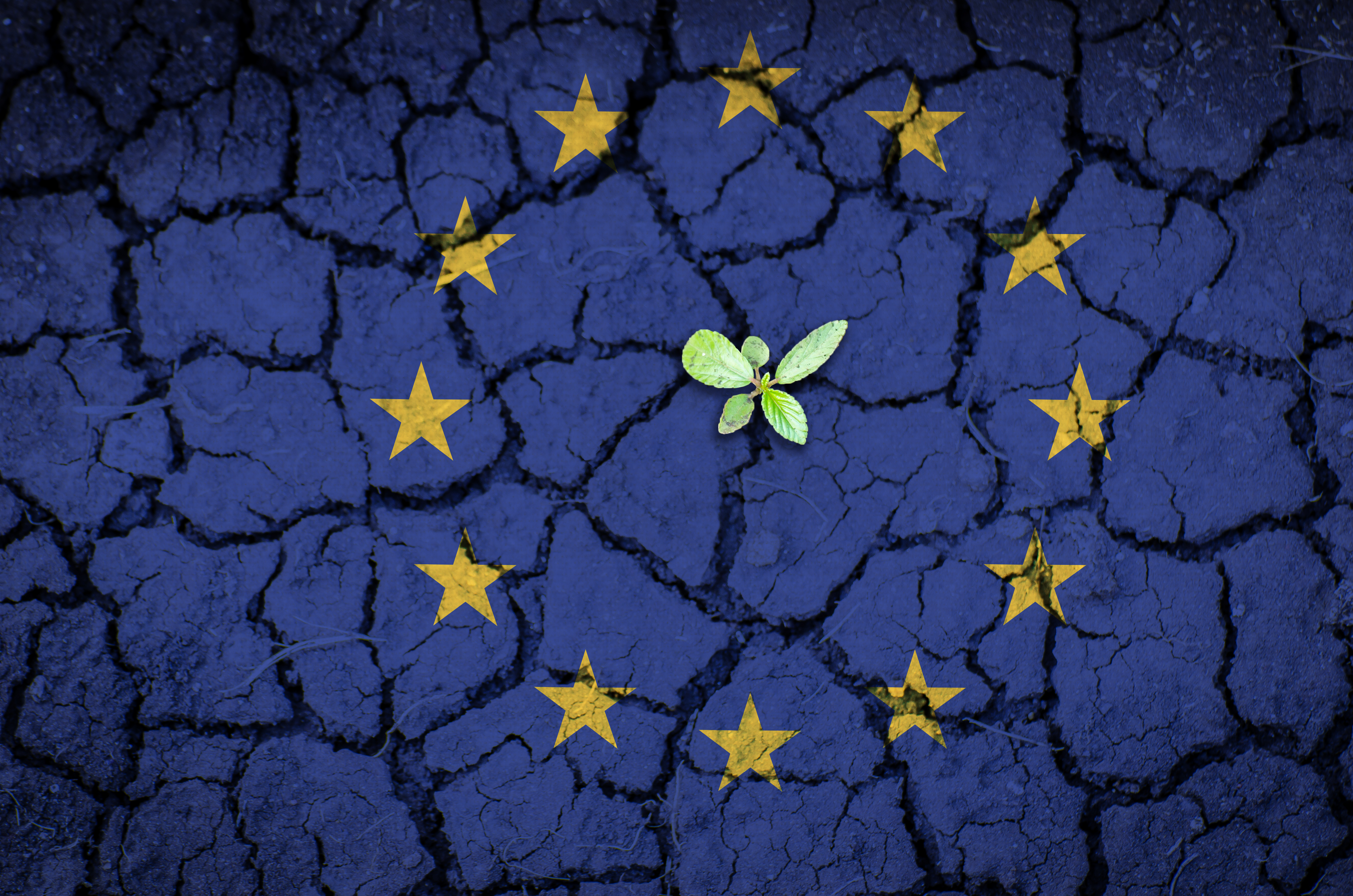 The EU and Climate Security: Toward Ecological Diplomacy